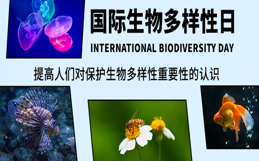 1653444774143988.png 图怪兽_61c721cf9488223326f65d467115ab86_93901.png